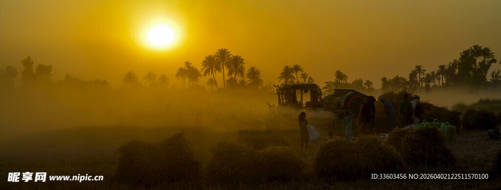 日出时分的朦胧乡村景象