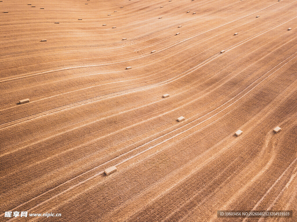 田野里的整齐犁沟痕迹