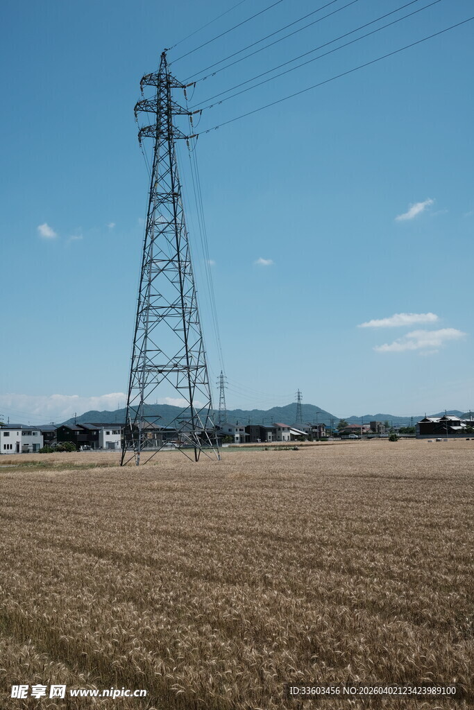 田野中的高耸输电塔