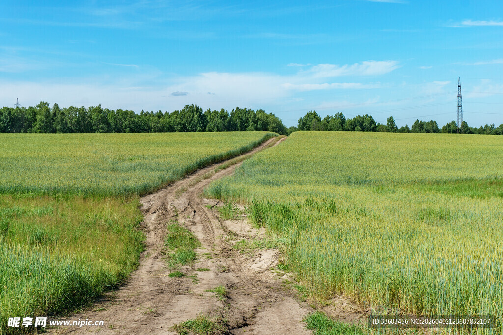 田野间的蜿蜒泥路