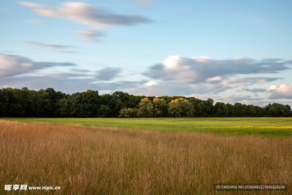 秋日田野风光美景