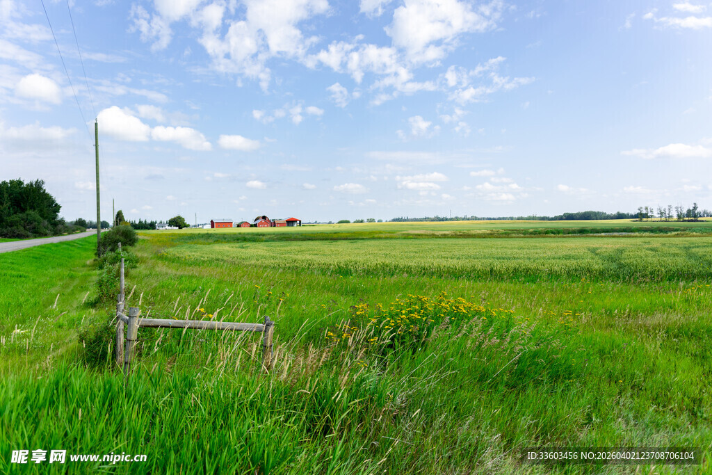广阔绿野中的田园风光