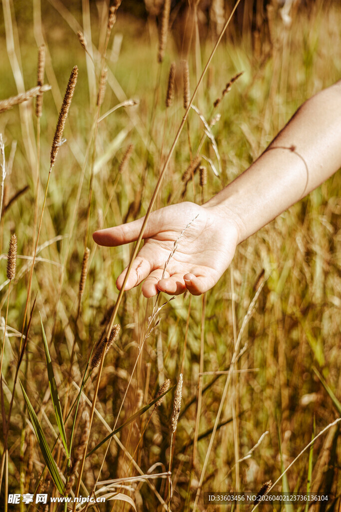 伸向草地的手