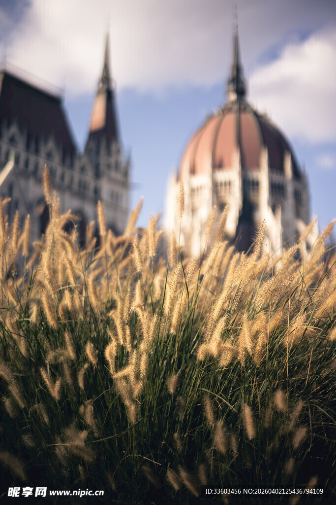 麦田中的宏伟建筑景观