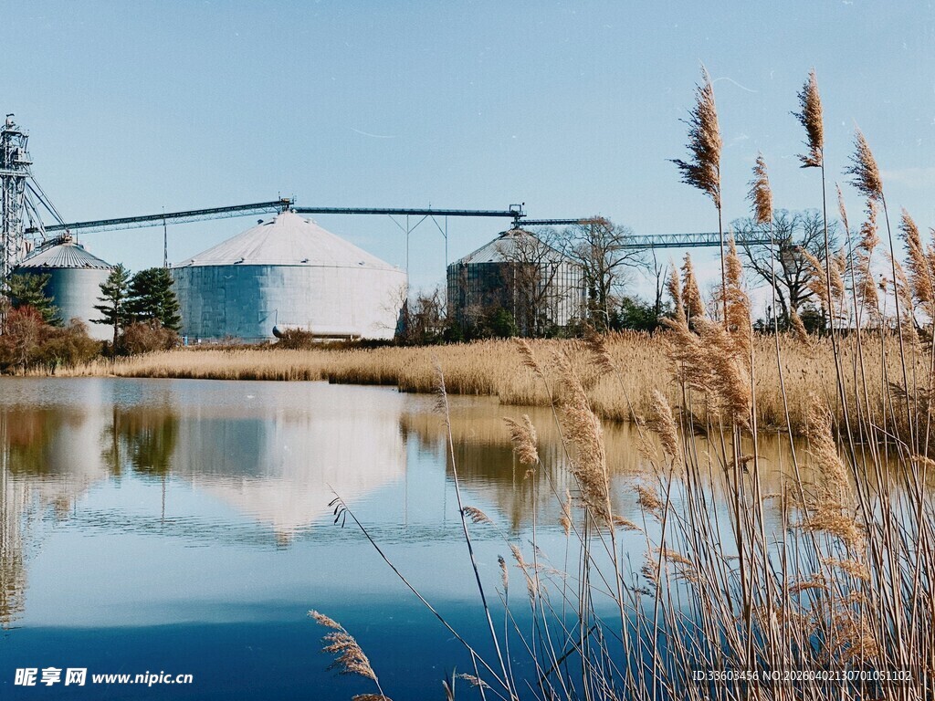 湖畔粮仓与芦苇的静谧景致