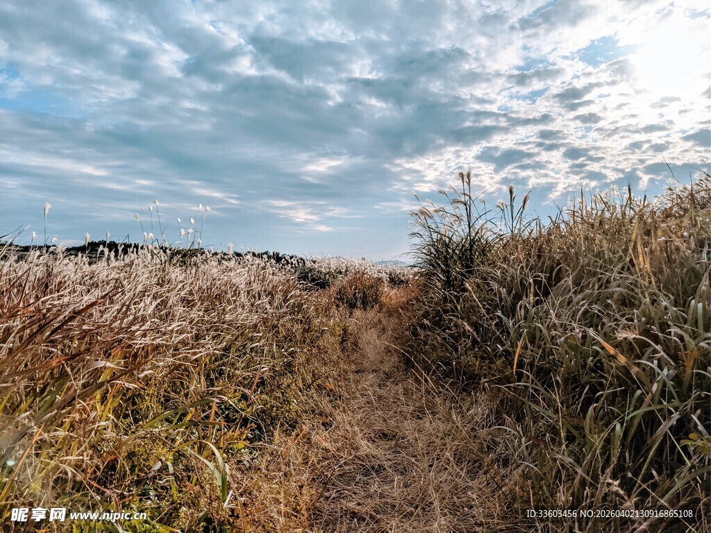 秋日原野中的小径