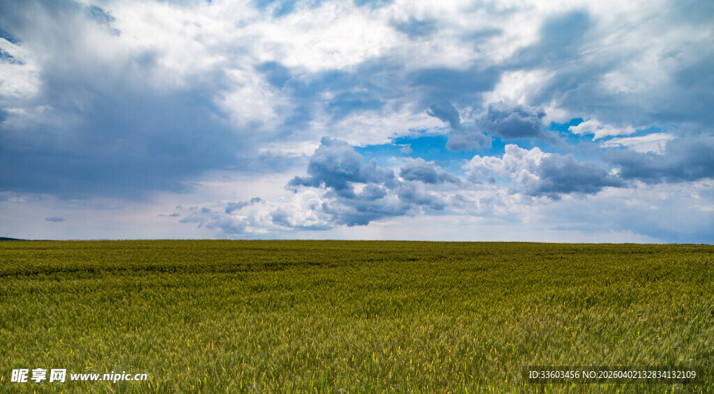 广袤草原上的蓝天白云