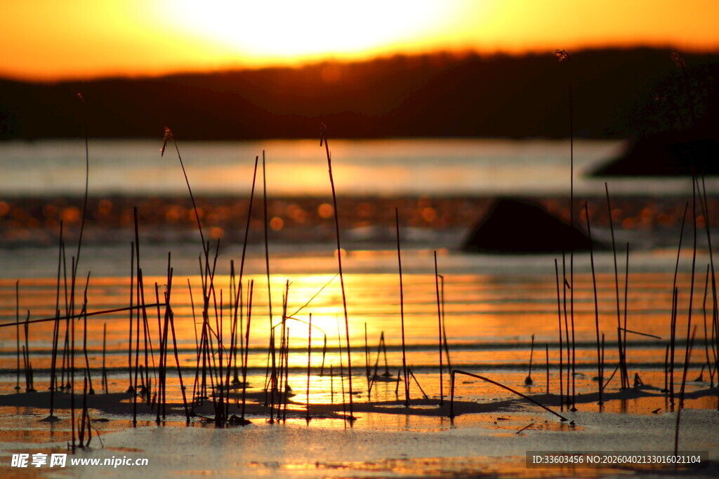 夕阳下的水上养殖设施