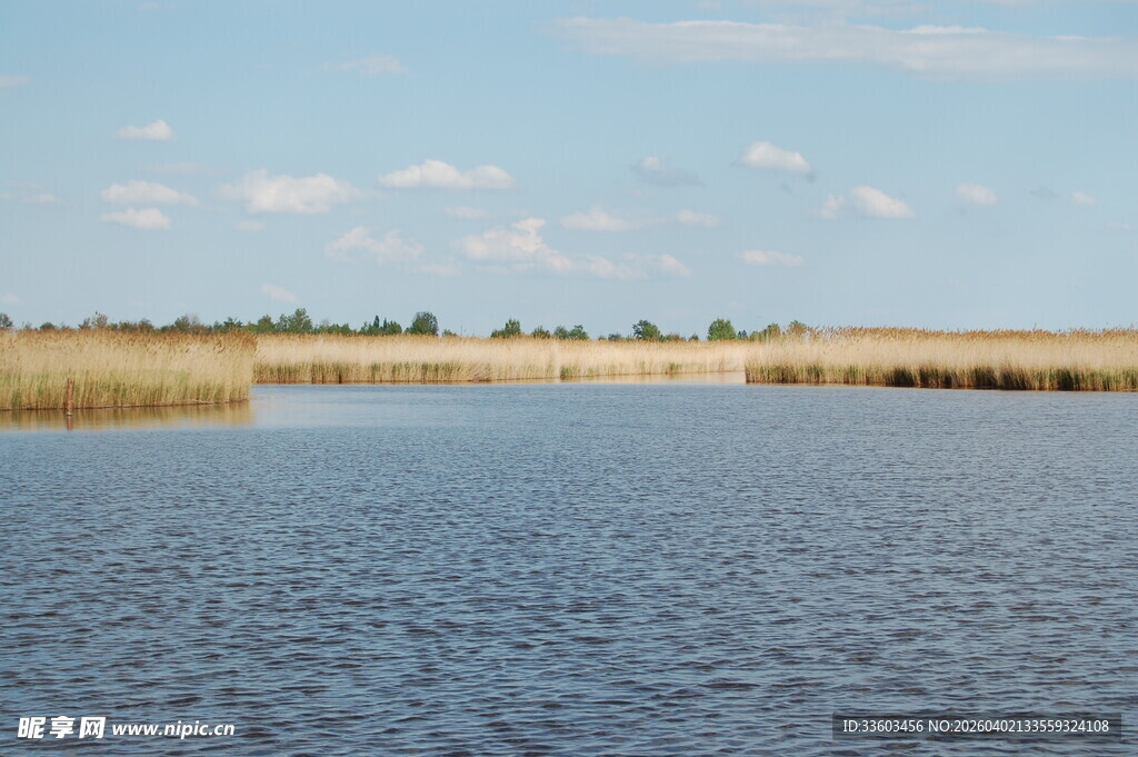 宁静开阔的水域风光