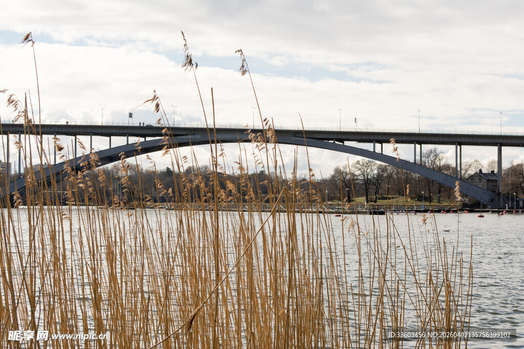 河畔桥梁与芦苇景观