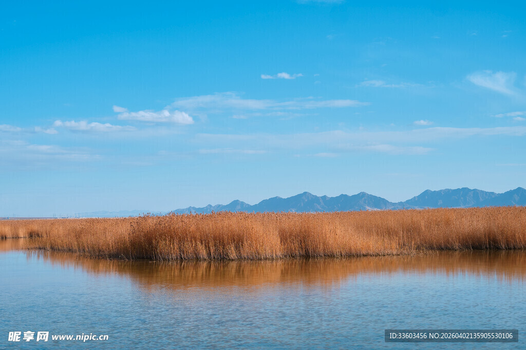 宁静水域旁的芦苇与远山