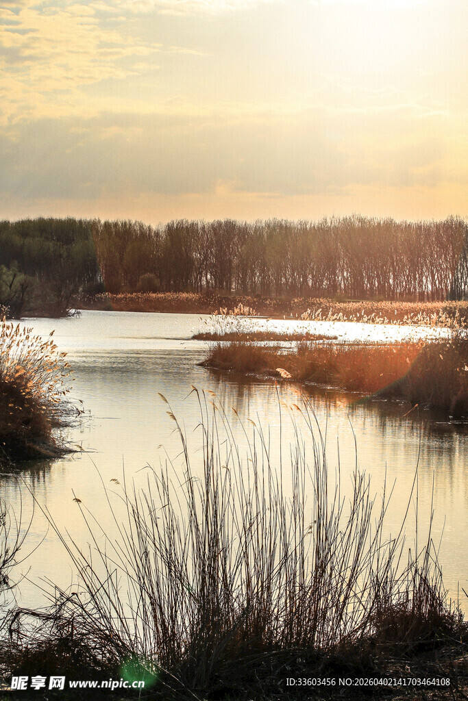 夕阳下宁静的河畔风光