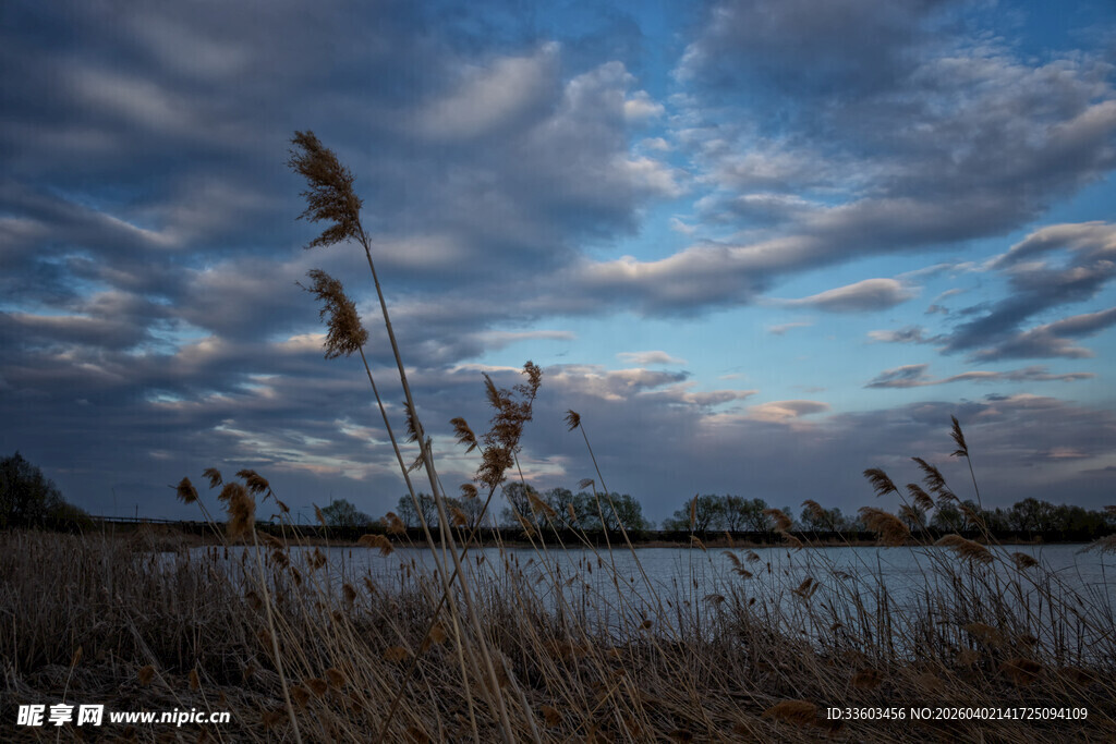 湖畔暮色中的芦苇与天空