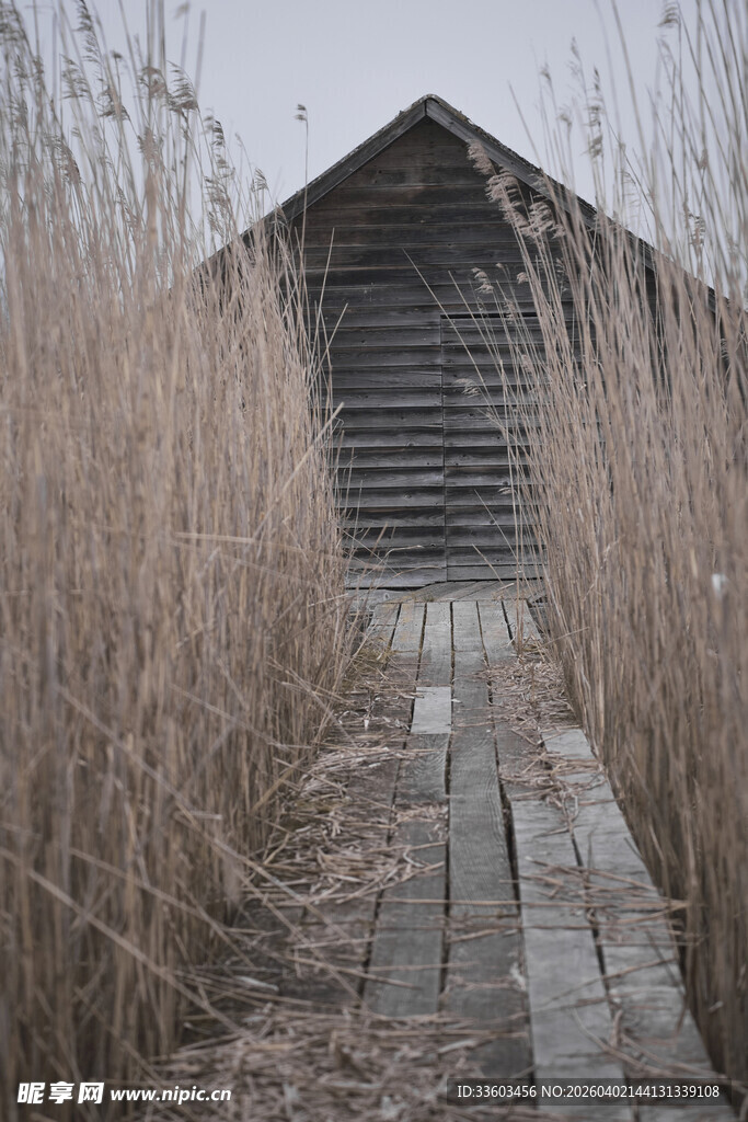 荒野中的老旧木屋小道