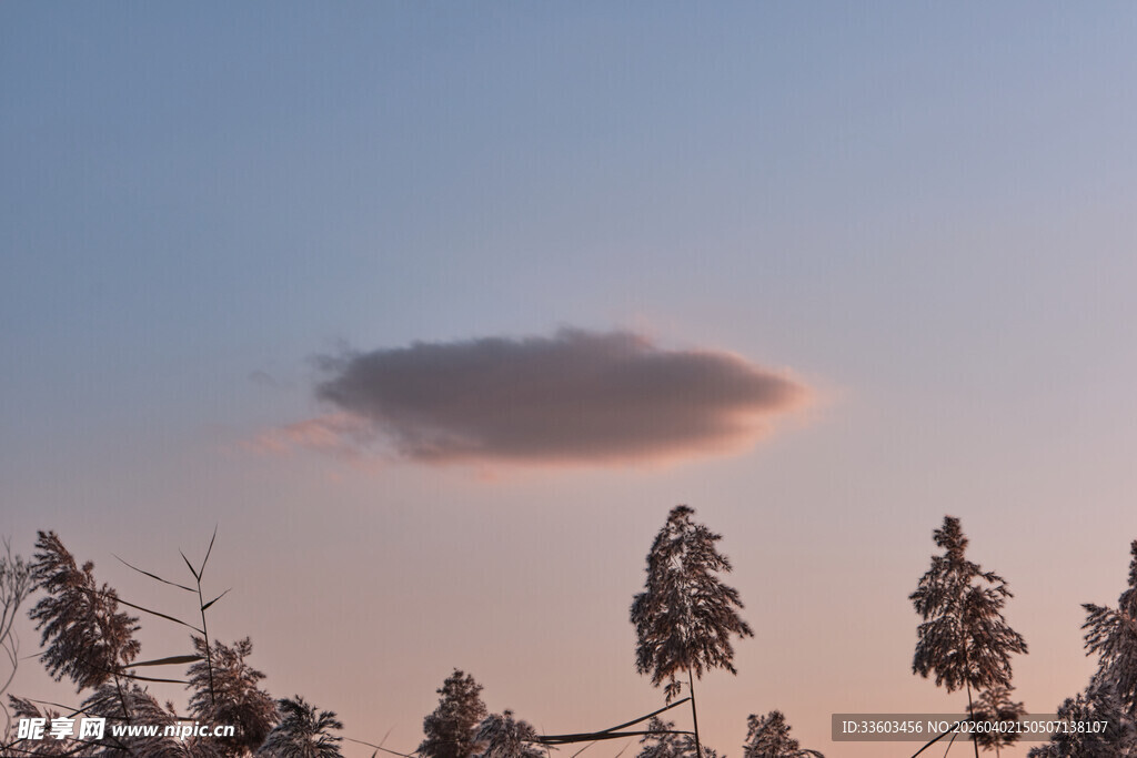 天边孤云下的树木景致
