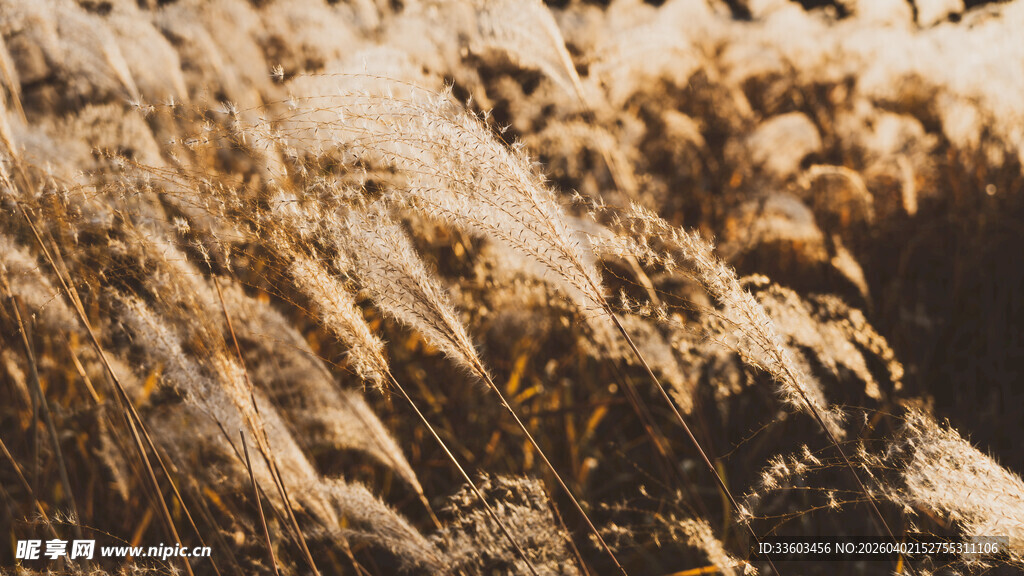 纹理独特的岩石表面