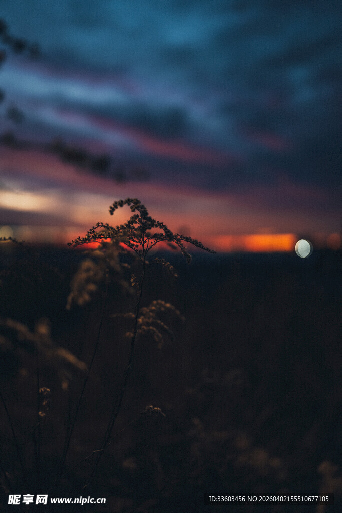 日落时分的自然美景