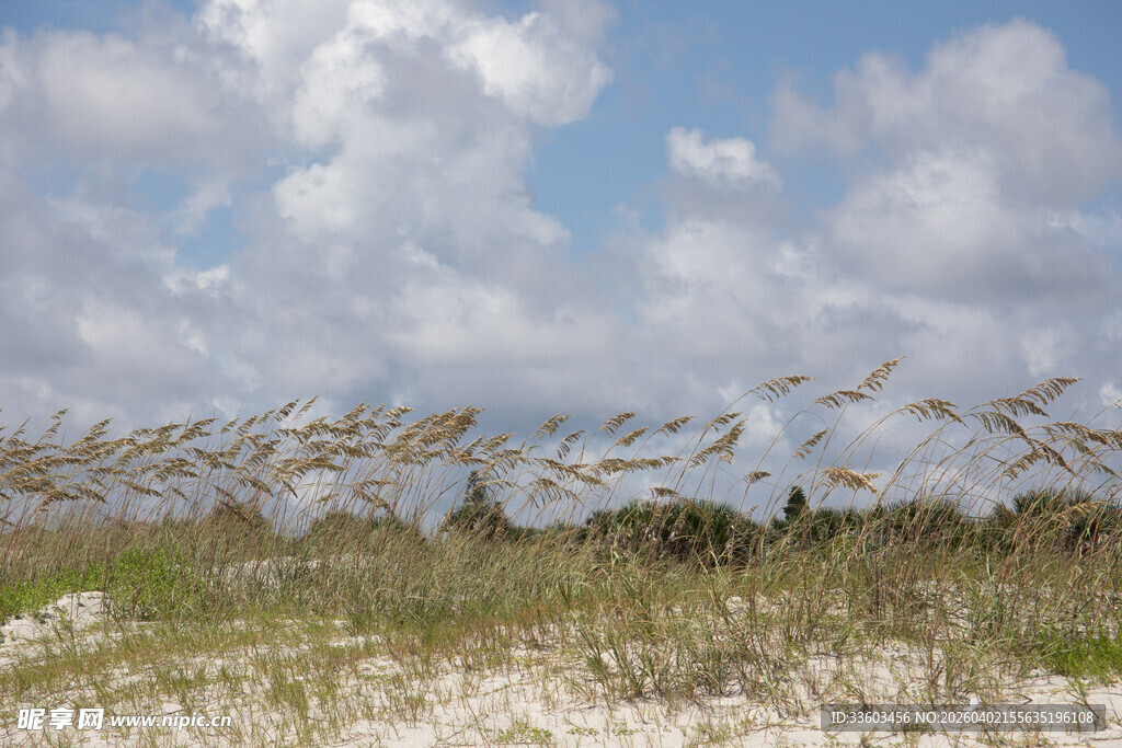 海边沙丘与蓝天白云景色