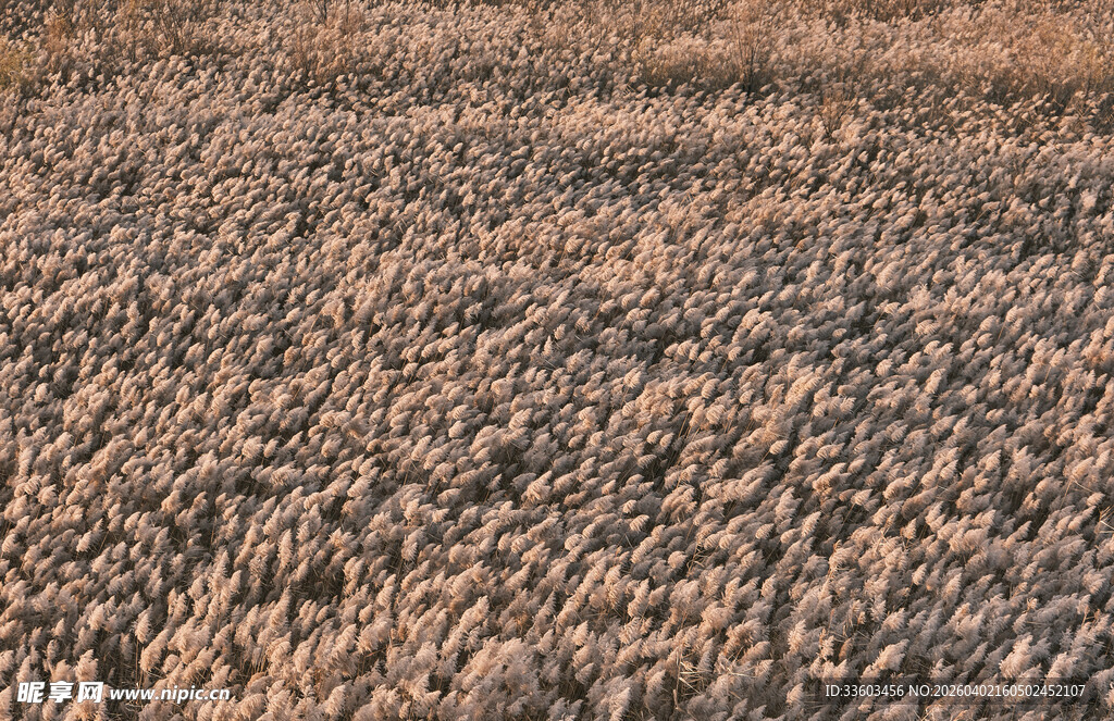 干燥土地纹理特写
