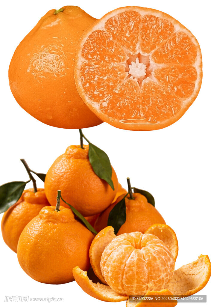 免扣春见耙耙柑