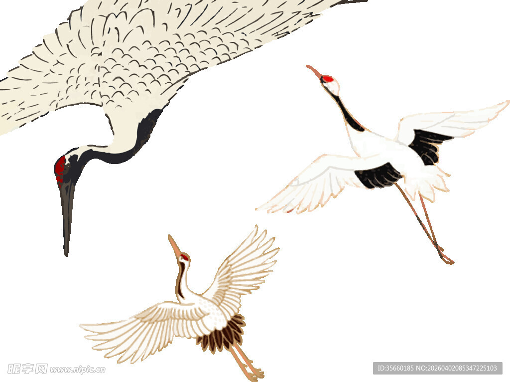 三只仙鹤展翅飞翔画面