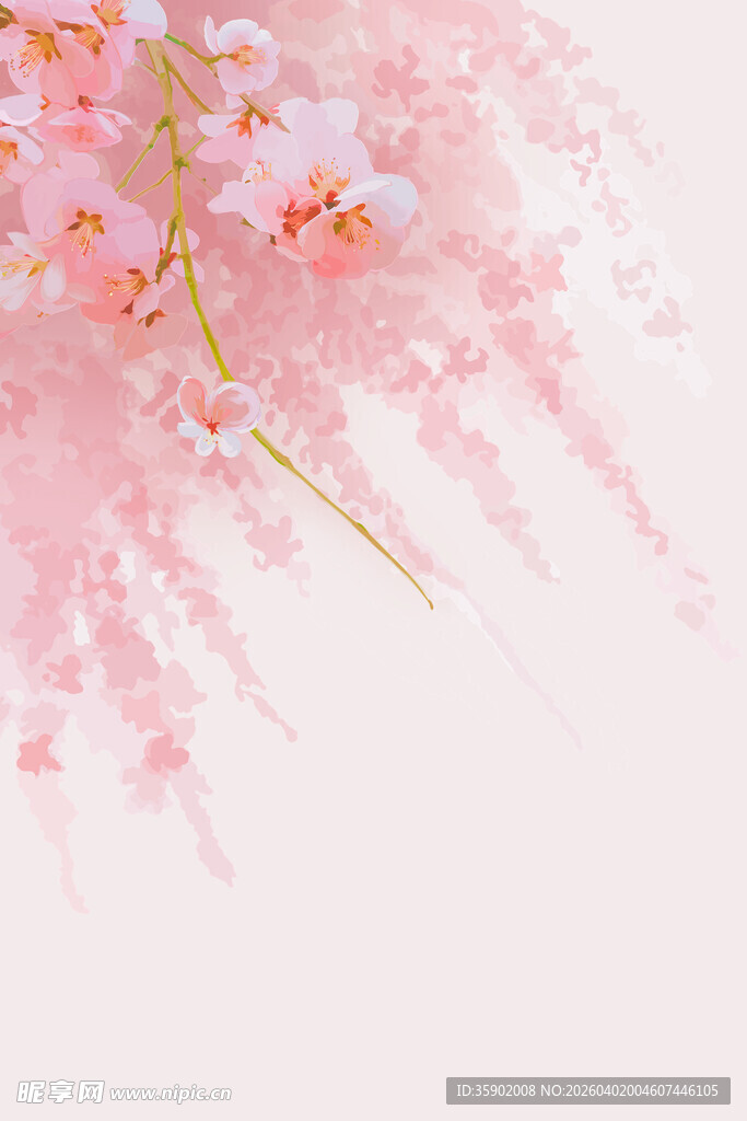 粉色烂漫樱花枝桠