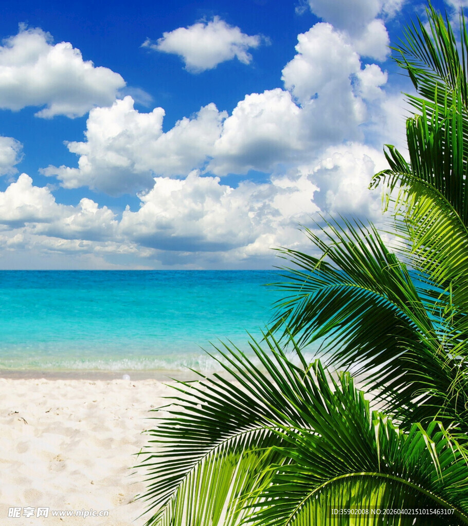 热带海滨美景