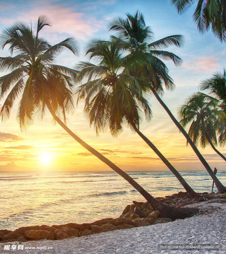 夕阳下的椰林海滩美景
