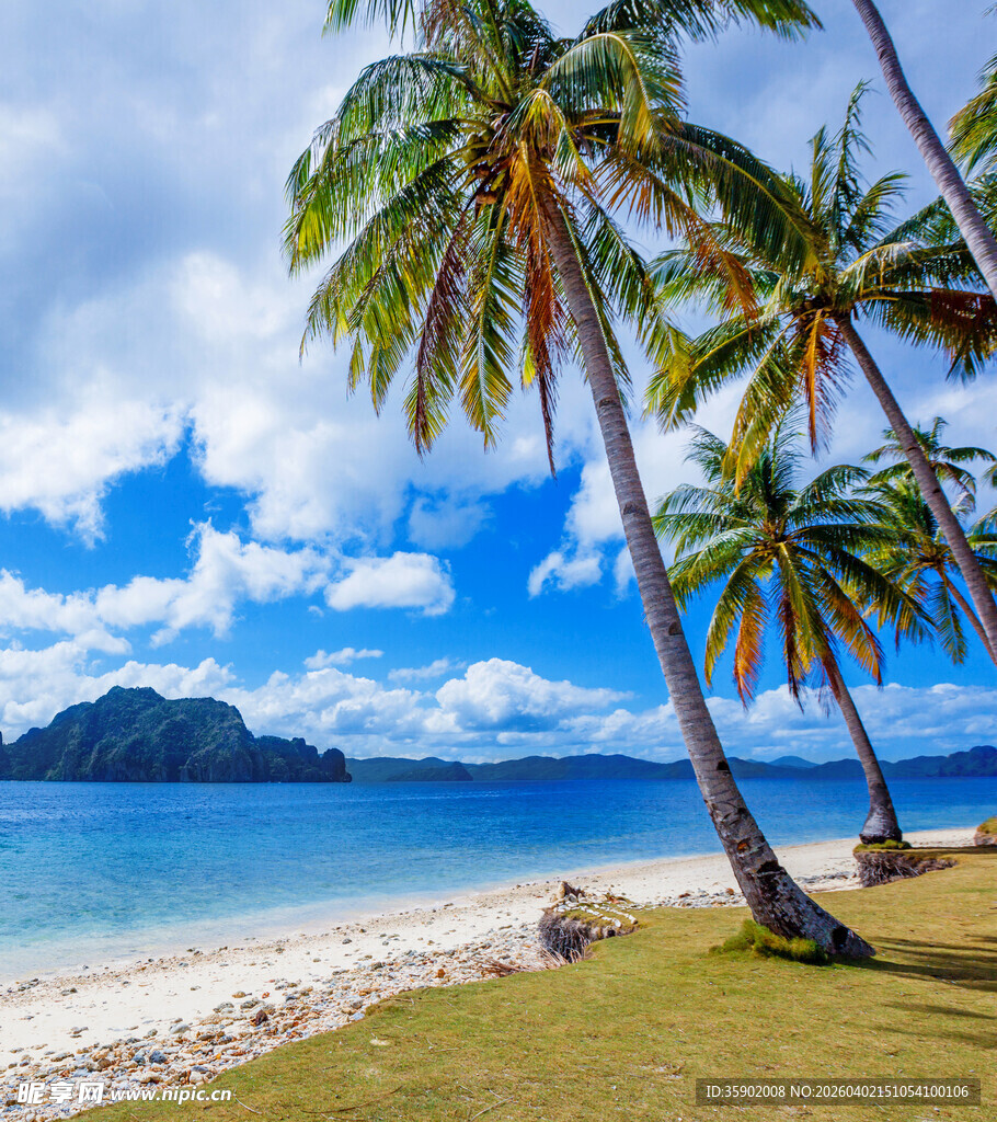 热带海滨风光椰树与碧海