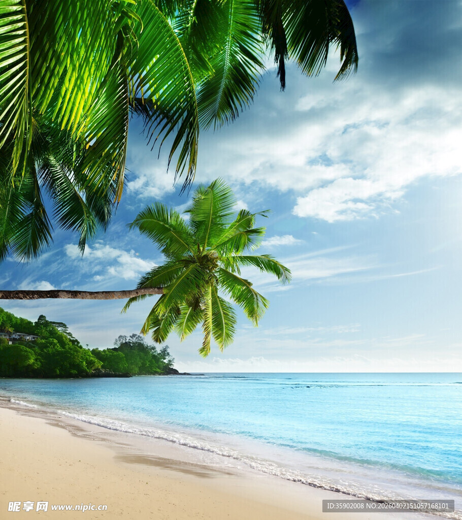 热带海滩美景