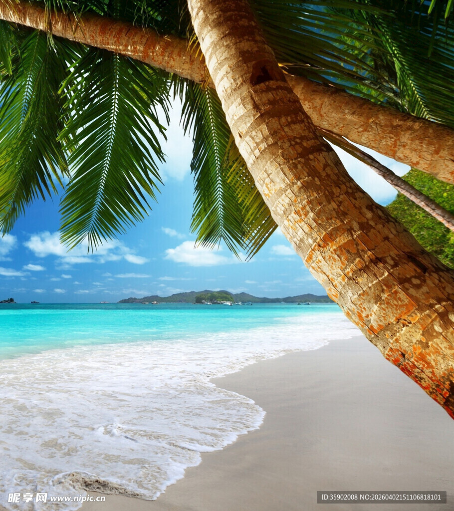 热带海滩椰树与碧海蓝天