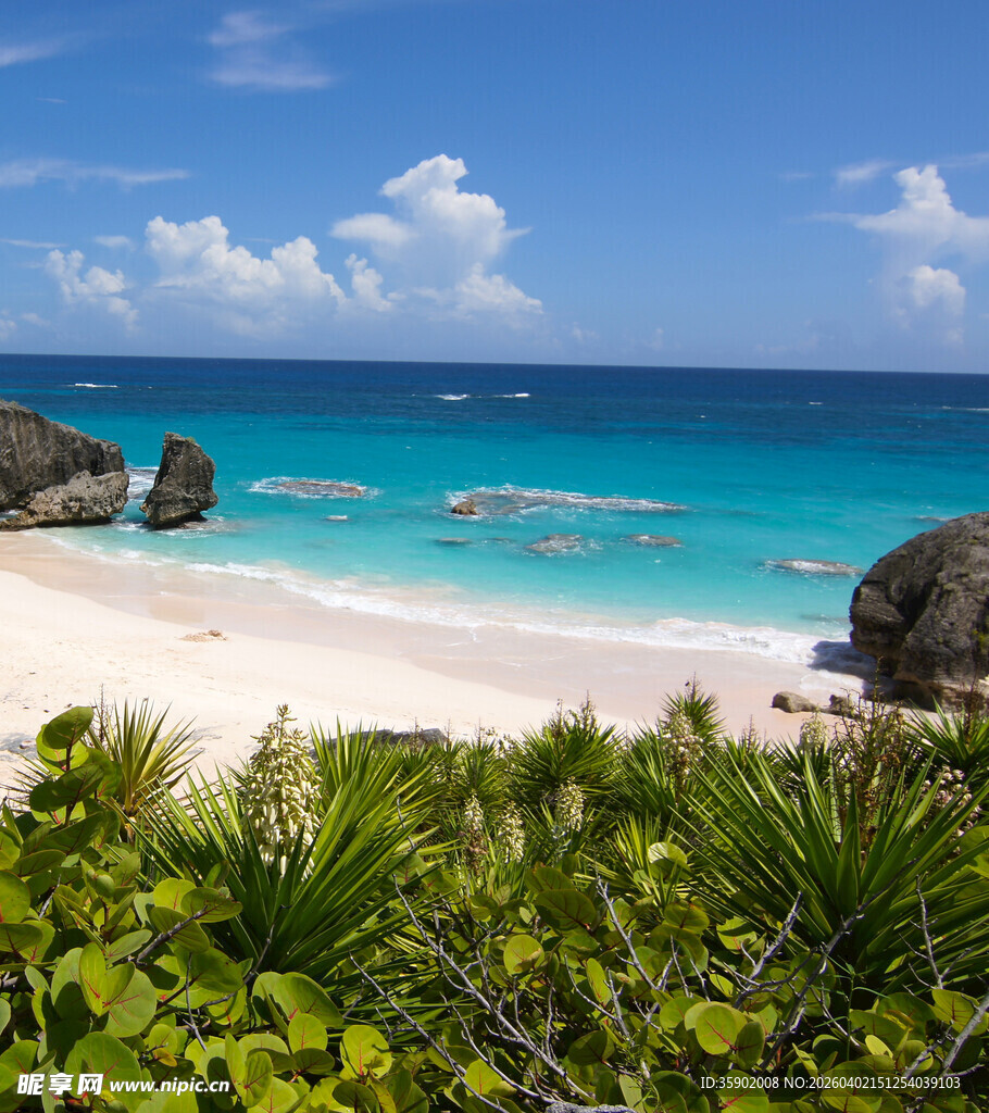 美丽热带海滩风光