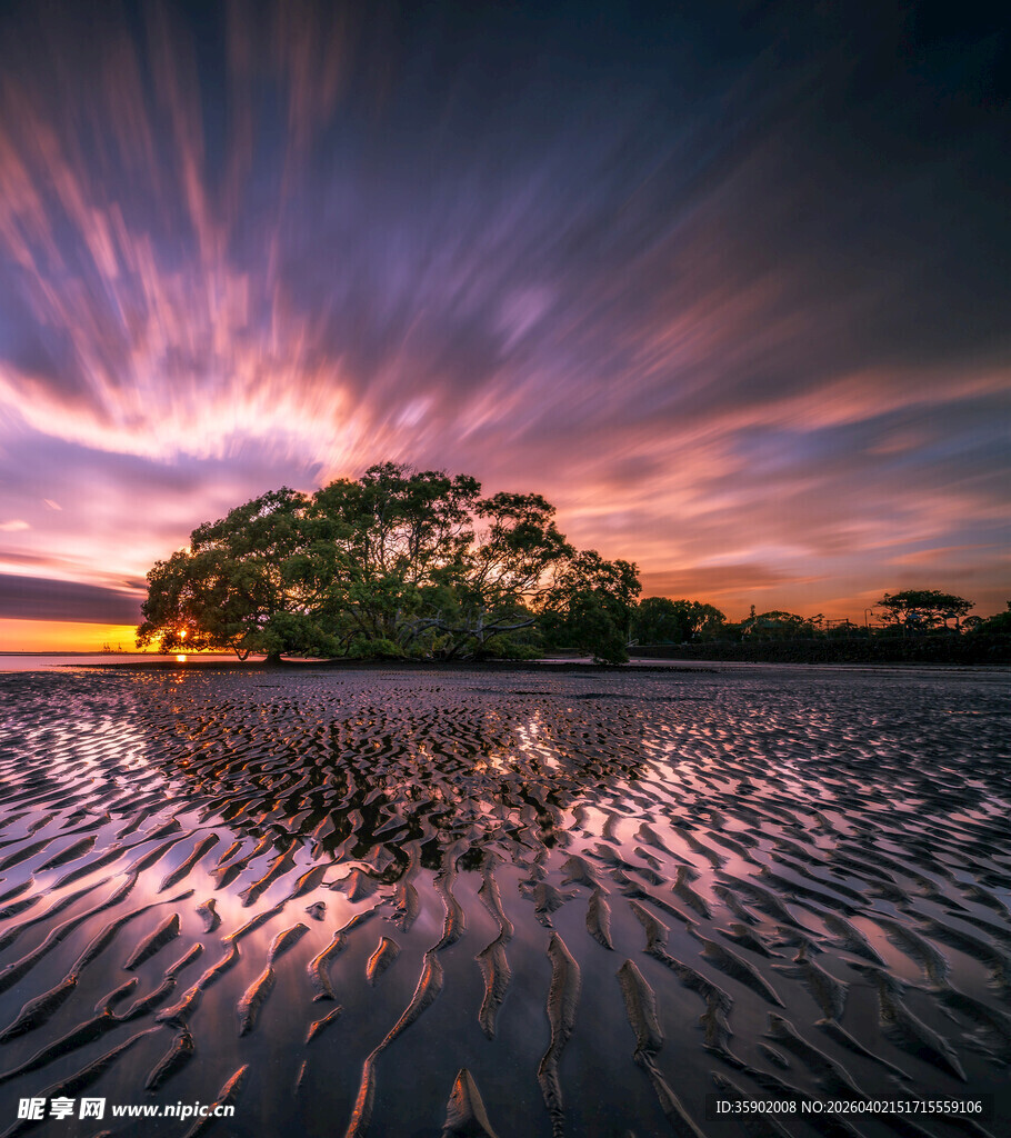 夕阳下的湿地梦幻风光