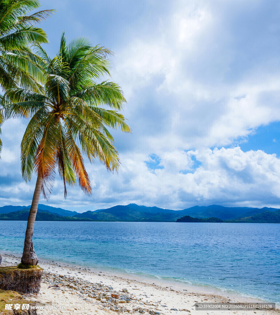热带海滩椰树海景风光