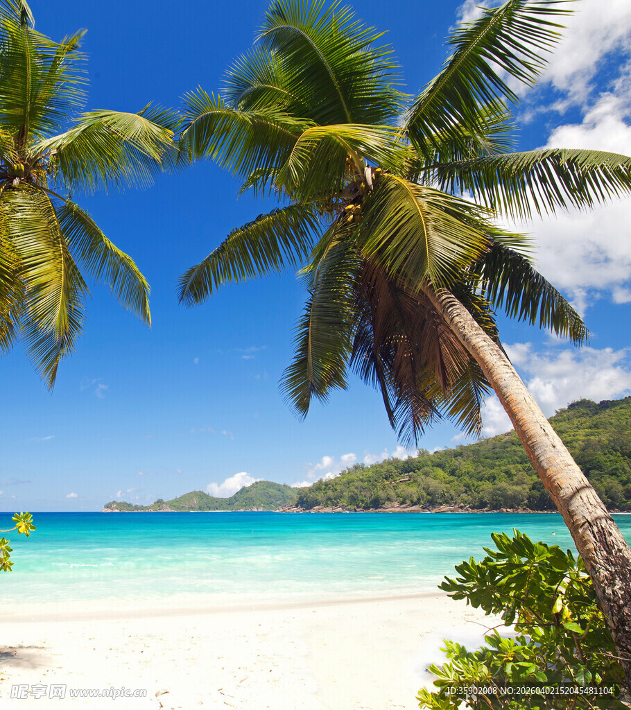 热带海滩风光椰树碧海蓝天