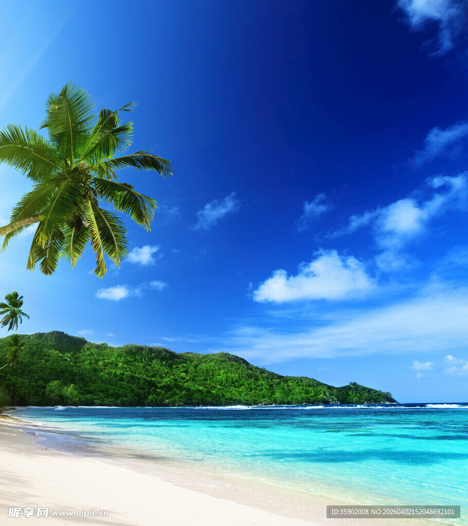 美丽热带海滩风光