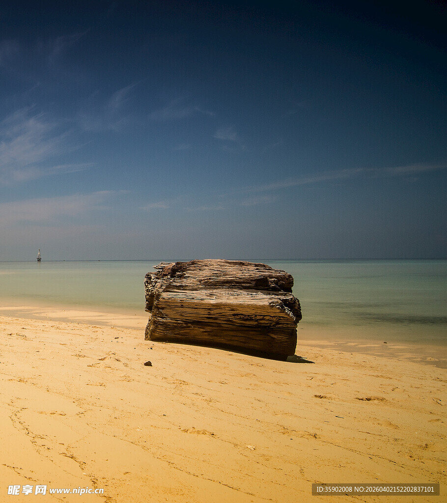 沙滩上的孤独漂流木