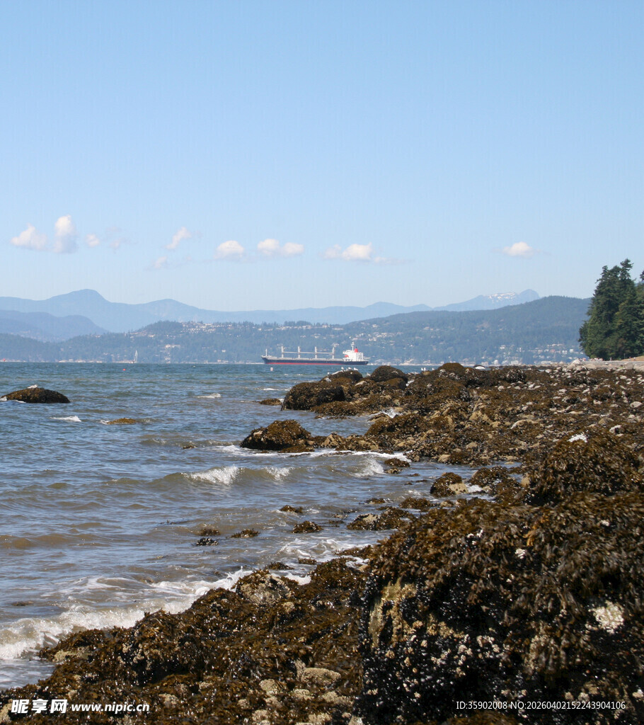 海边礁石景观宁静自然