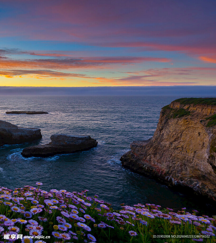 海边日落美景繁花相伴