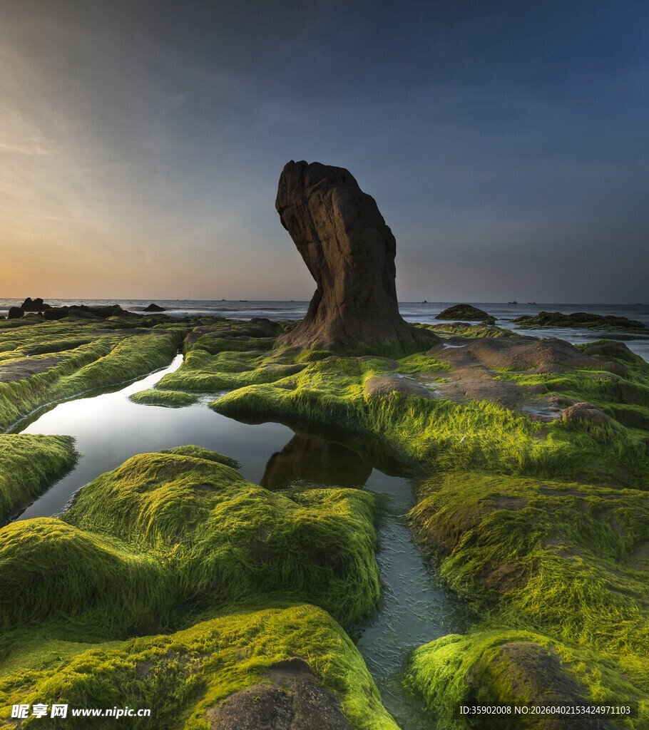 海边覆绿苔的奇特岩石景观