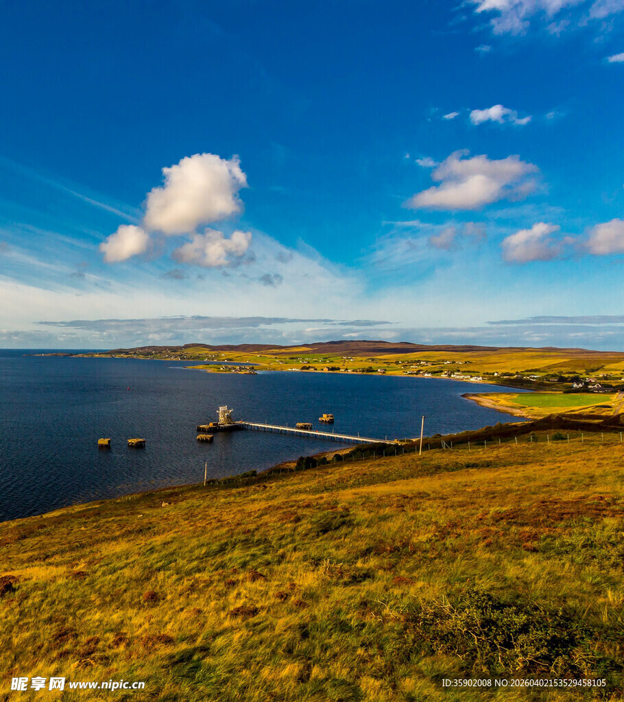 美丽湖畔草原风光景色