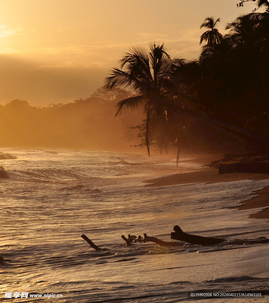 夕阳下的椰树海滩美景