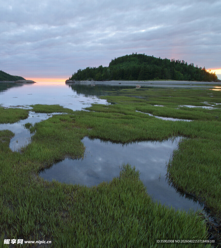 黄昏下的湿地风光