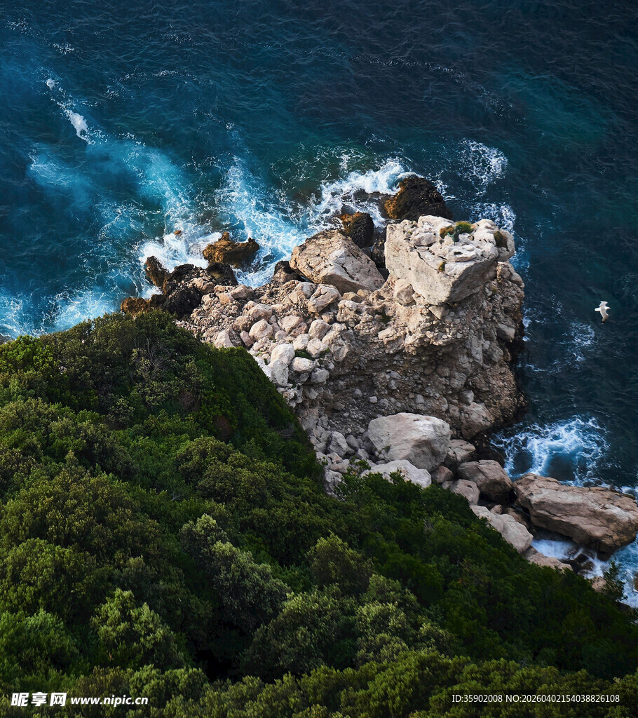 海岸边的礁石与葱郁植被