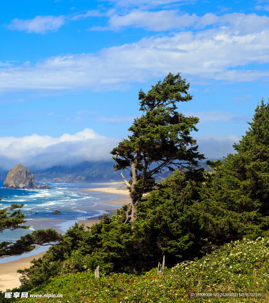 海岸边的绿树与壮美海景