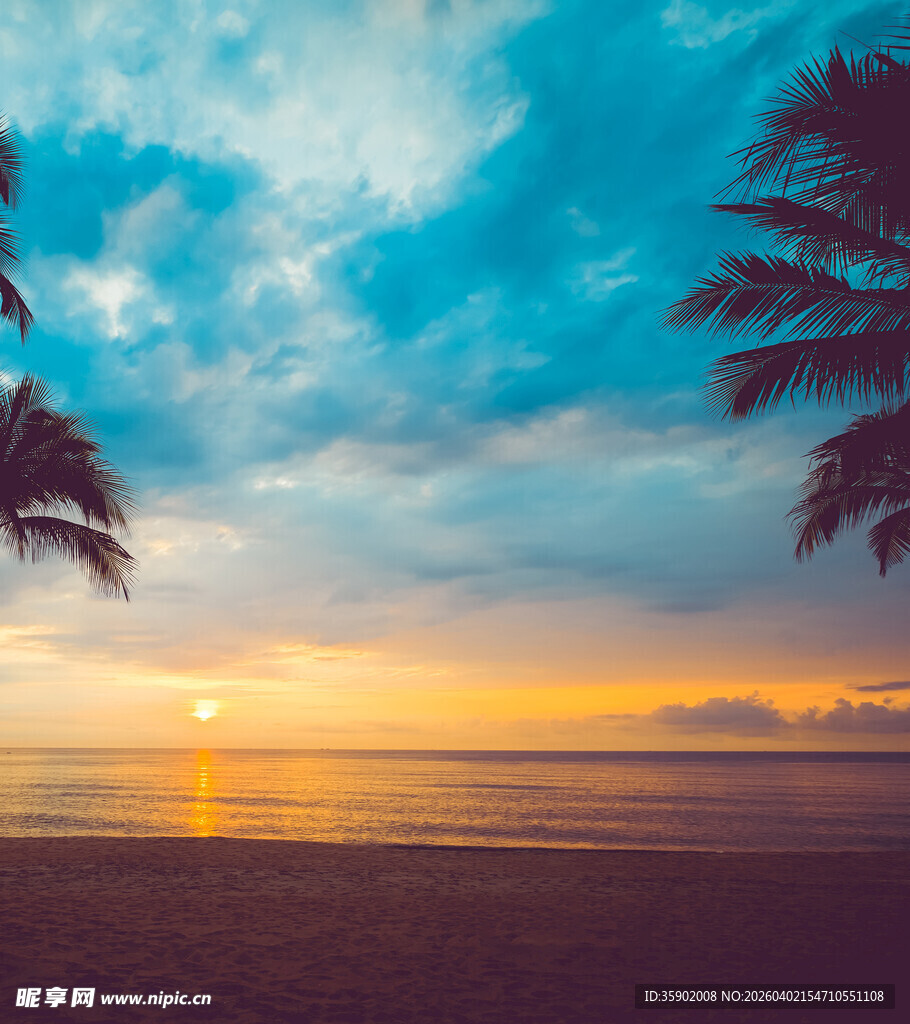 海边日落美景椰树相伴