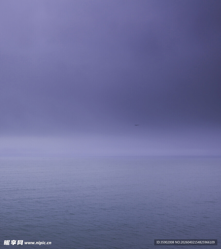 宁静紫色海洋天空景象