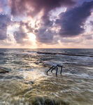 海边日落时分的壮阔景象