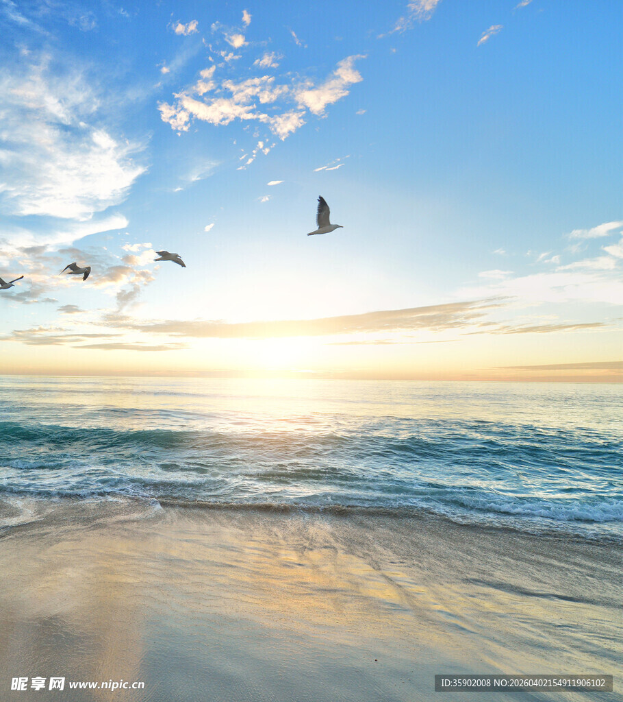 海边日出美景海鸥相伴