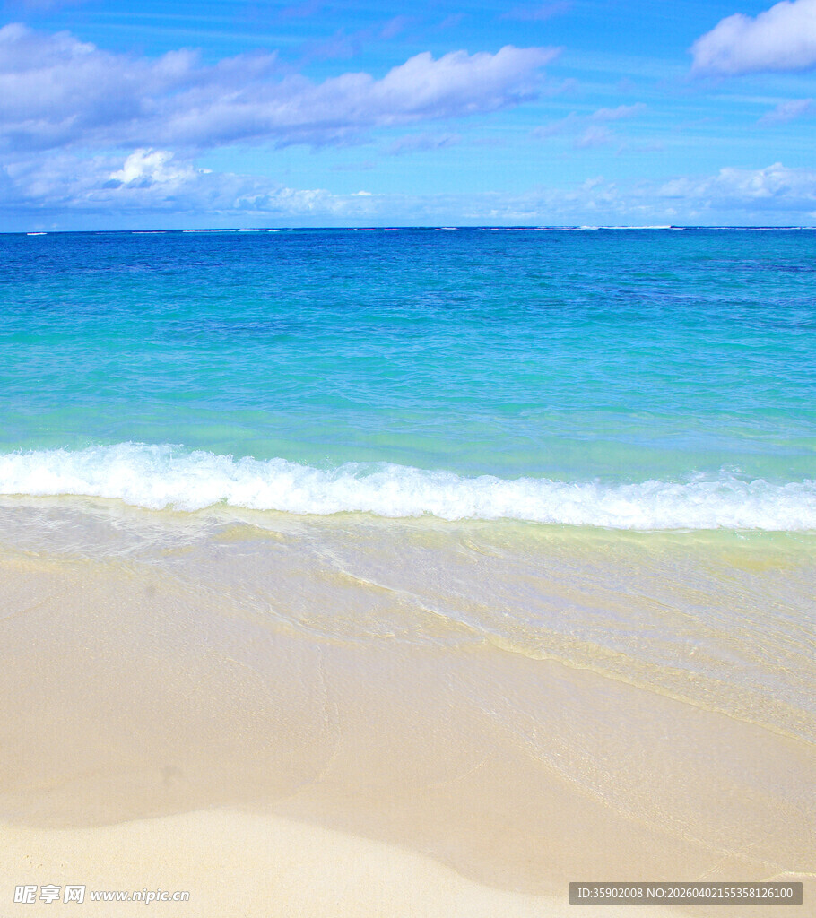 美丽海滨沙滩海景风光